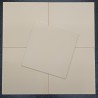 płytka ceramiczna biskwitowa 200x200x7