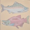 Zestaw Startowy: Paleta na bogato - Angoby PRODESCO