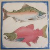Angoby wypalone i pokryte transparentem